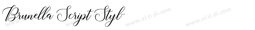 Brunella Script Styl字体转换